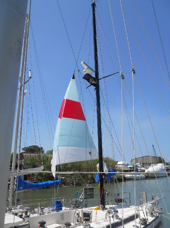 [Immagine: 20115111159_foto carbonera.jpg]
